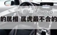 属虎最不合的属相 属虎最不合的属相是什么