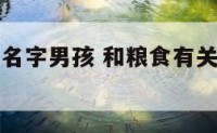 代表粮食的名字男孩 和粮食有关的男宝宝名字