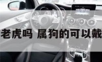 属狗能带老虎吗 属狗的可以戴虎饰品吗
