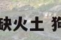 狗年男宝宝起名缺火土 狗年缺火男孩名字