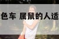 属鼠的人开红色车 属鼠的人适合开什么颜色车