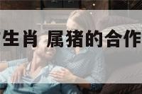 属猪事业合作生肖 属猪的合作伙伴最好属什么?