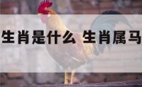 属马相冲的生肖是什么 生肖属马的和什么相冲