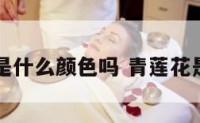 青莲花是什么颜色吗 青莲花是荷花吗