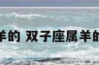 双子座属羊的 双子座属羊的女人性格