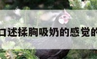 关于口述揉胸吸奶的感觉的信息