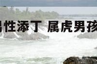 2019属虎男性添丁 属虎男孩哪天出生最好