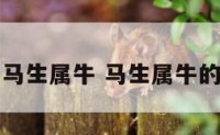 马生属牛 马生属牛的