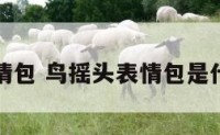 鸟摇头表情包 鸟摇头表情包是什么意思啊