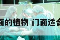 适合种门面的植物 门面适合养什么花