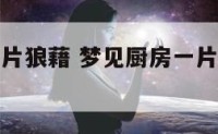 梦见厨房一片狼藉 梦见厨房一片狼藉什么意思