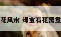 绿宝石花风水 绿宝石花寓意及好处