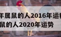 1960年属鼠的人2016年运程 1960年属鼠的人2020年运势