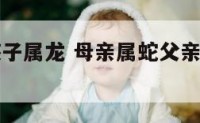 母亲属蛇孩子属龙 母亲属蛇父亲属龙孩子属什么好