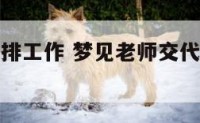 梦到老师安排工作 梦见老师交代的任务没有安排好