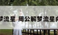 周公解梦流星 周公解梦流星向南划过