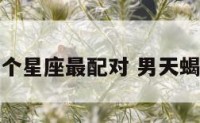 男天蝎和哪个星座最配对 男天蝎最配的星座