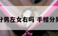 手相分男左女右吗 手相分男女么