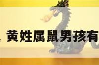 黄姓属鼠 黄姓属鼠男孩有福气名字