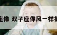 双子座像 双子座像风一样抓不住