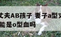 妻子A型丈夫AB孩子 妻子a型丈夫b型血孩子有可能是o型血吗