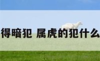 属虎得暗犯 属虎的犯什么太岁