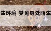 梦见身处陌生环境 梦见身处陌生环境遇到陌生人