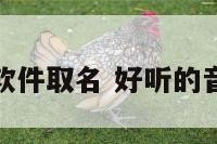 给一款音乐软件取名 好听的音乐软件名称