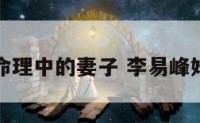 李易峰命理中的妻子 李易峰婚姻命理