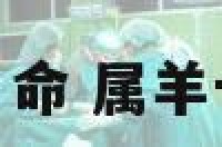 属羊十月命 属羊十月命运