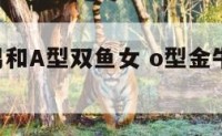 O型金牛男和A型双鱼女 o型金牛男择偶标准