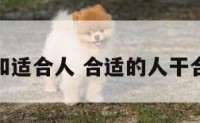 适合工作和适合人 合适的人干合适的工作