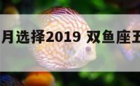 双鱼座五月选择2019 双鱼座五月选择2019年