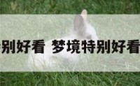 梦境特别好看 梦境特别好看的图片