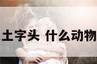 什么动物是土字头 什么动物是土字头的
