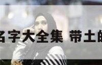 带土的男孩名字大全集 带土的男孩名字库