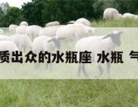 气质出众的水瓶座 水瓶 气质