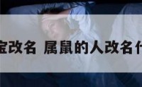 属鼠宝宝改名 属鼠的人改名什么字好