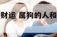 属狗和属鸡的财运 属狗的人和属鸡的人怎么样