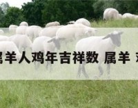 属羊人鸡年吉祥数 属羊 鸡