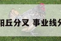 事业线向太阳丘分叉 事业线分叉到太阴丘