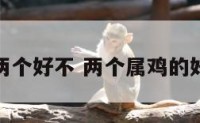 属鸡两个好不 两个属鸡的好不好