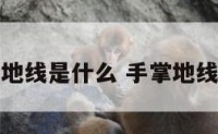 手相地线是什么 手掌地线分叉