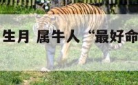 属牛幸运出生月 属牛人“最好命”的出生月份