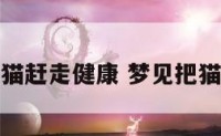 梦见把猫赶走健康 梦见把猫咪赶走