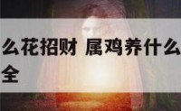属鸡的养什么花招财 属鸡养什么花招财并聚财呢图片大全