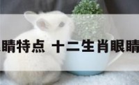 十二生肖眼睛特点 十二生肖眼睛特点是什么