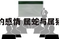 属蛇与属猪的感情 属蛇与属猪相处怎么样