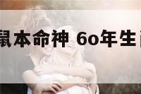 1960年属鼠本命神 6o年生肖鼠本命年运势