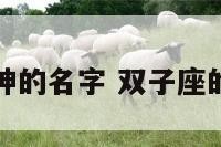 双子座的神的名字 双子座的神话人物